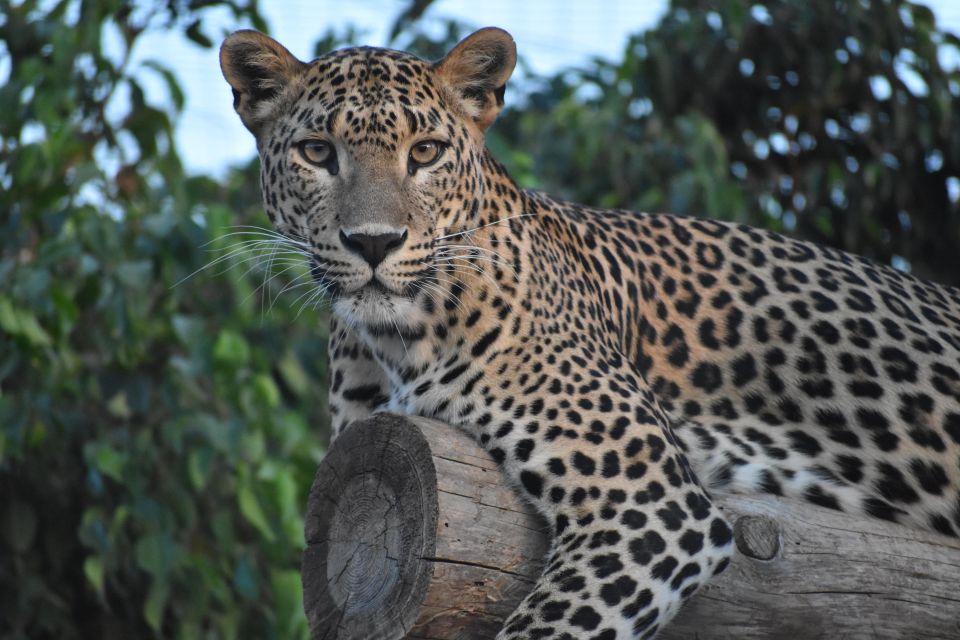 Murcia: Terra Natura Murcia Ticket Entry - Food, Snacks, and the On-Site Comfort Factor