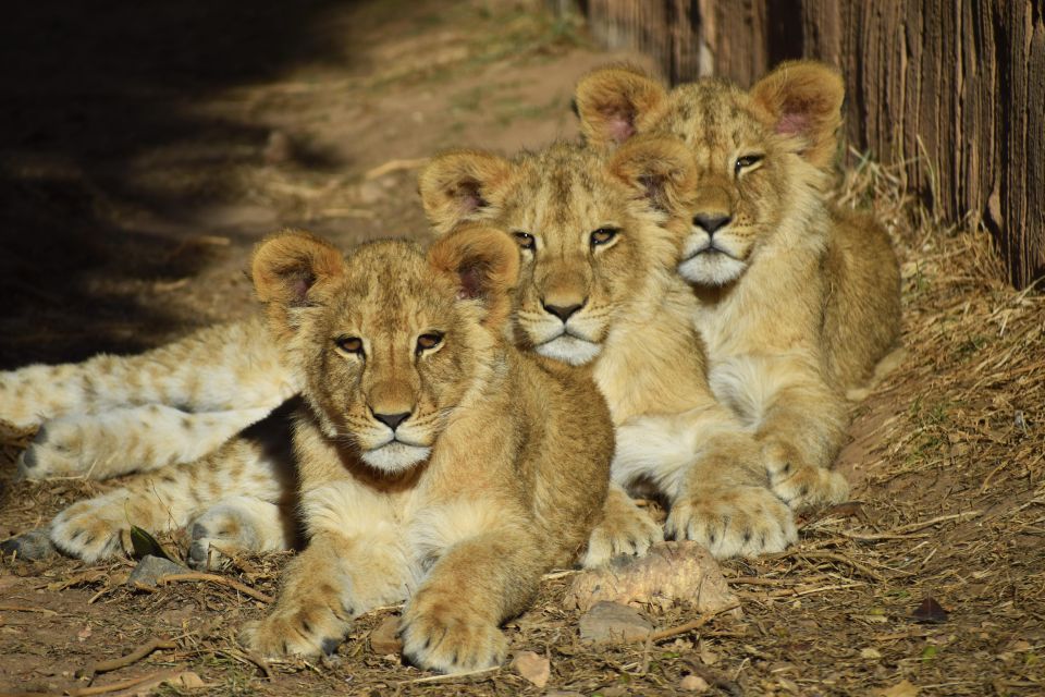 Murcia: Terra Natura Murcia Ticket Entry - Practical Tips That Make a Big Difference
