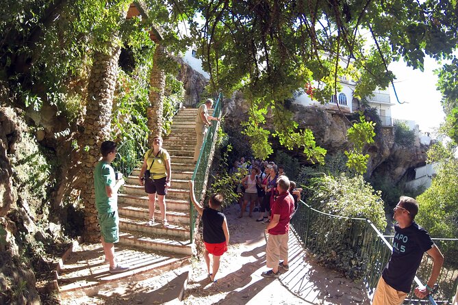 Natural Parck Jeep Eco Tour from Costa del Sol - Key Points I’d Prioritize Before You Go