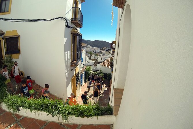 Natural Parck Jeep Eco Tour from Costa del Sol - Monda and Lunch on the Main Square: Where the Day Turns Easy