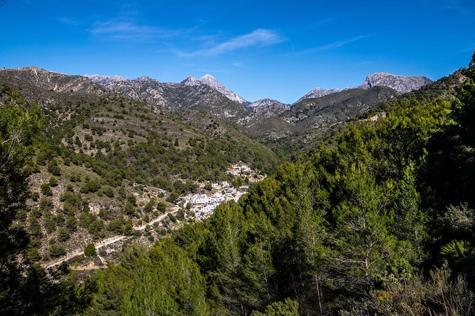 Nerja (Pueblo) + Frigiliana & El Acebuchal - Semi-Private - Meeting point in Málaga and how the day flows after 10:00