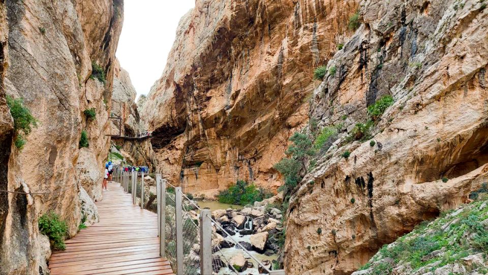 Nerja, Torrox, or Torre del Mar: Caminito del Rey Day Trip - What the Guides Do That Changes the Experience