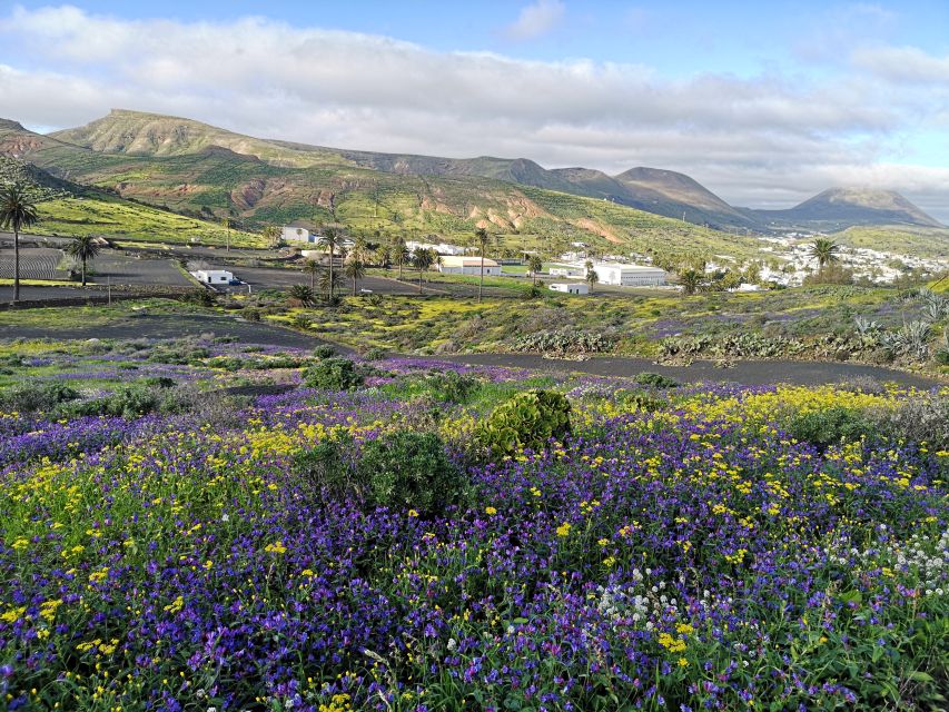 North Lanzarote: Cave, Jameos del Agua, and Viewpoint - How the $79 price makes sense (and when it might not)