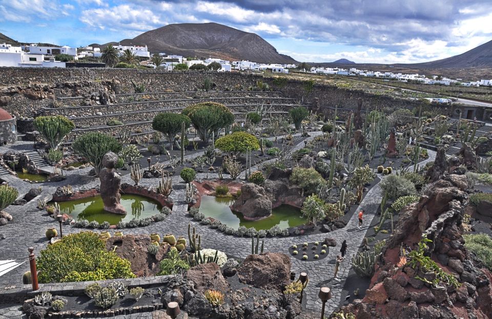 North Lanzarote: The Work of César Manrique - The view stop: El Valle de las Mil Palmeras on the way to Haría