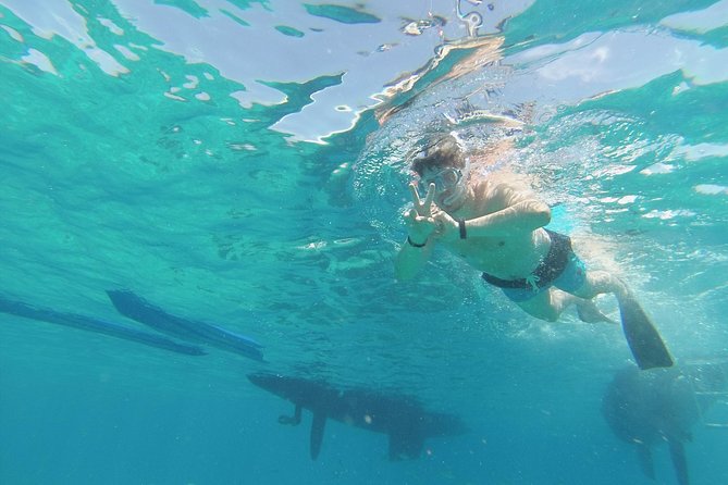 OBY Catamaran - Your Oby Catamaran day trip starts in Corralejo, not on a loud bus