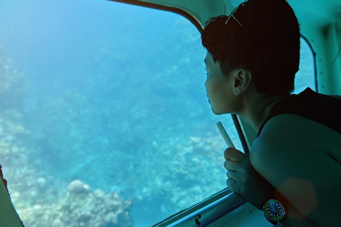 Odyssee 3: The Glass Bottom Boat Tour in Fuerteventura - A Glass-Bottom Boat Day on Fuerteventura: What Makes It Different