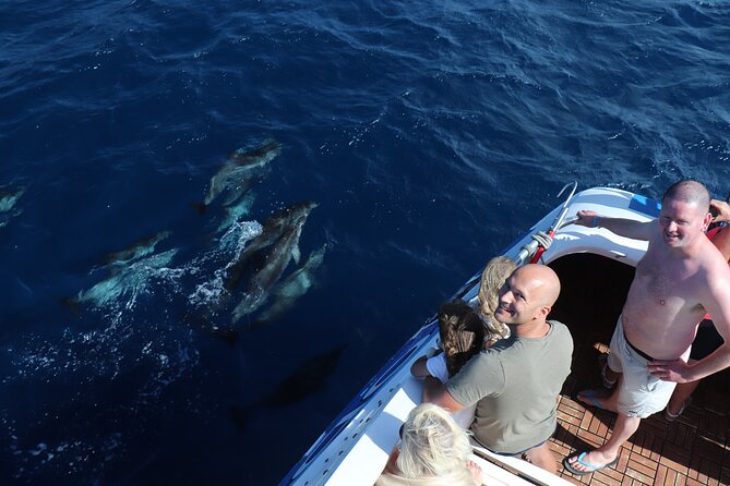 Odyssee 3: The Glass Bottom Boat Tour in Fuerteventura - Cruising Out from Puerto de Morro Jable into Jandía Natural Park