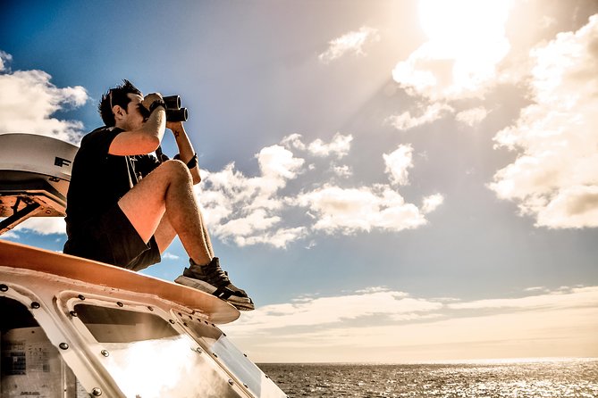 Odyssee 3: The Glass Bottom Boat Tour in Fuerteventura - Lunch and the Open-Bar Set-Up: What to Expect on the Plate