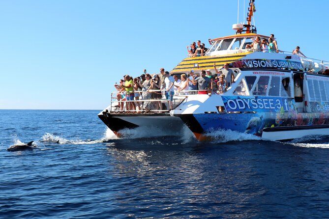 Odyssee 3: The Glass Bottom Boat Tour in Fuerteventura - How the Crew Keeps Energy High (and What to Know if Seas Feel Rough)