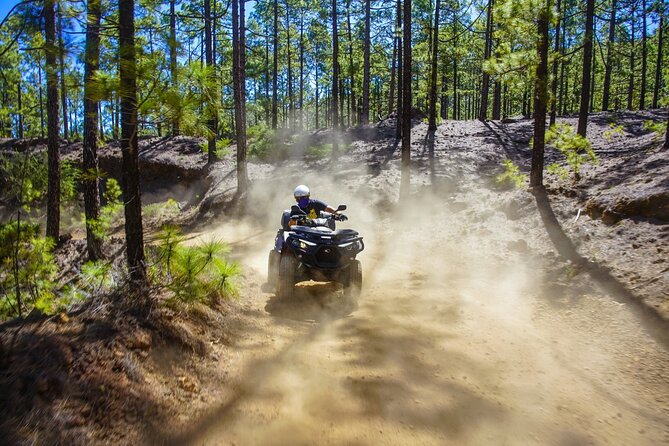 Off-Road Quad Tour from Woodlands to Volcanic Heights - Quick take: what makes this quad tour worth your time