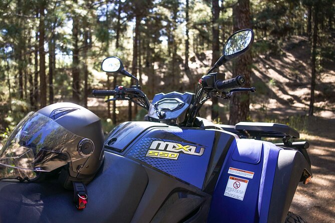 Off-Road Quad Tour from Woodlands to Volcanic Heights - A morning quad ride that starts at Santiago del Teide