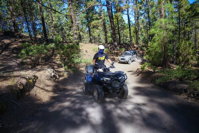 Off-Road Quad Tour from Woodlands to Volcanic Heights - Teide National Park: the break that makes the whole ride click