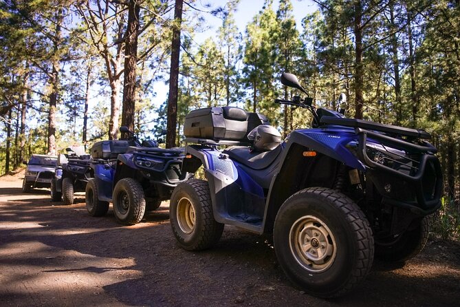 Off-Road Quad Tour from Woodlands to Volcanic Heights - What it’s like to ride: first-timer friendly, speed-feeling, and focused