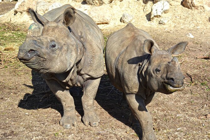 Offer Summer Terra Natura entrance ticket - Families, Kids, and Animal-Show Expectations