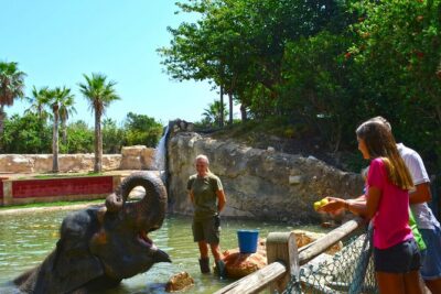 Offer Summer Terra Natura entrance ticket - The Zooimmersion Layout: 320,000 Square Metres and Four Zones