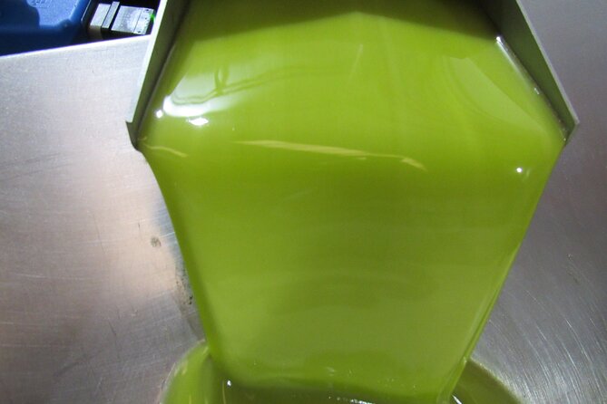 Oil tourism in Pulpí Discover the World of EVOO - Stop 4: premium EVOOs and aroma condiments you can actually taste