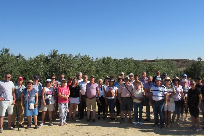 Oil tourism in Pulpí Discover the World of EVOO - Price and timing: is $19.35 worth it?
