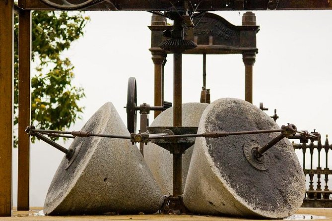 Olive Oil Farm Tour with Tasting from Seville - Buying olive oil at the shop: how to choose without getting sold to