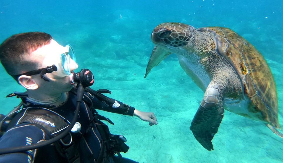 PADI Discover Scuba Diving Course in Tenerife - Key things I’d bet money on