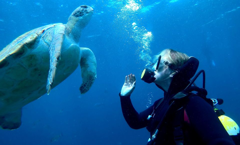 PADI Discover Scuba Diving Course in Tenerife - Should you book this PADI Discover Scuba course in Tenerife?