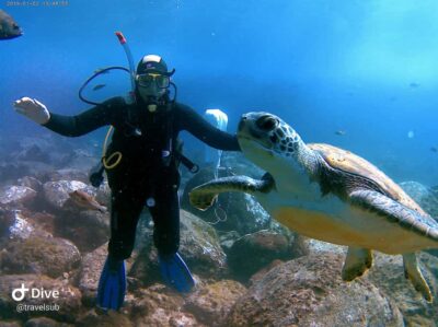 PADI Discover Scuba Diving Course in Tenerife - The 3-hour flow: meet, train shallow, then go down to 12 meters