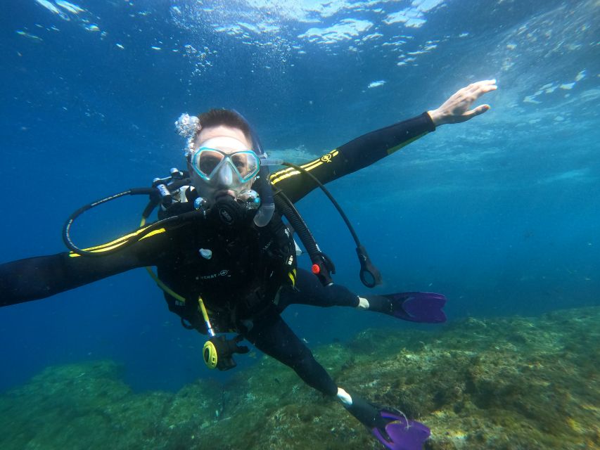PADI Discover Scuba Diving Course in Tenerife - Price and value: $129 for a real beginner certification path
