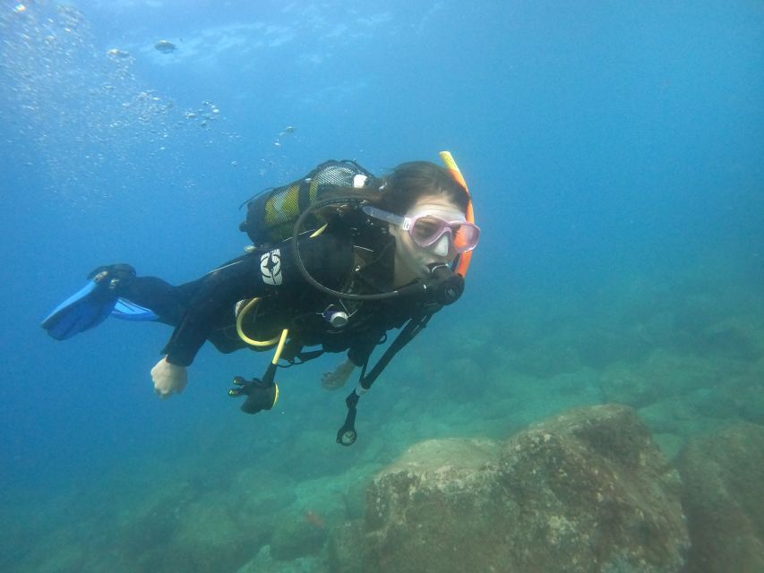 PADI Discover Scuba Diving Course in Tenerife - After the water: certification and the beginner story exchange