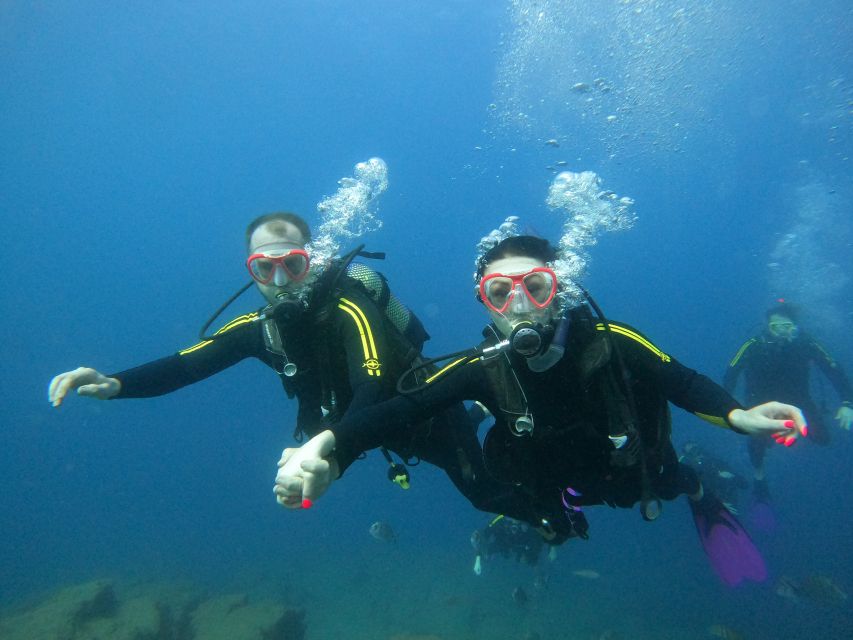 PADI Discover Scuba Diving Course in Tenerife - Practical planning tips so your session feels smooth