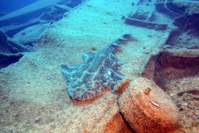 PADI Open Water Course in Gran Canaria - Three days of PADI Open Water training in Gran Canaria