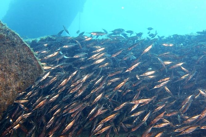 PADI Open Water Course in Gran Canaria - What’s included (and what that means for your time and budget)