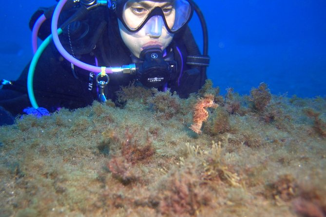 PADI Open Water Diver Course (OWD) - 2.5 days - Learning equipment you don’t have to chase down