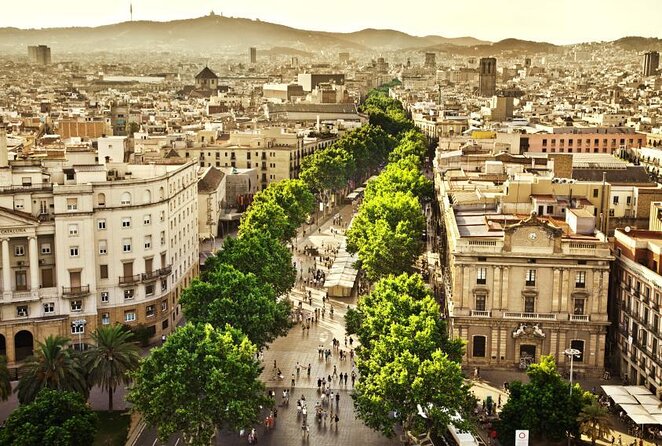 Paella Class & Bottomless Wine: Las Ramblas Views - Key highlights to notice before you go