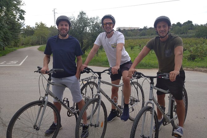 Paella Class, Winery & Bike Ride - Free Hotel Pickup from Sitges - Vilafranca del Penedès: from vineyards to a real paella lesson
