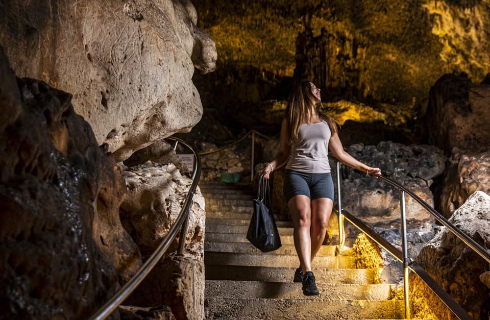 Palma: Caves of Drach Entrance, Music Concert, and Boat Trip - Who this tour suits best (and who should rethink it)