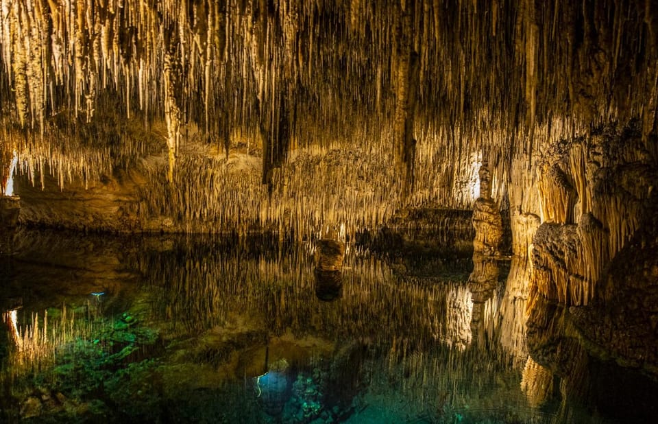 Palma: Caves of Drach Entrance, Music Concert, and Boat Trip - The live classical concert: listen, sit smart, and follow the rules