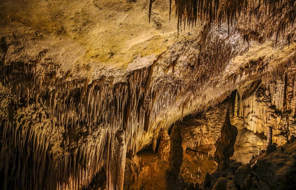 Palma: Caves of Drach Entrance, Music Concert, and Boat Trip - Getting instant access: walking into Cuevas del Drach