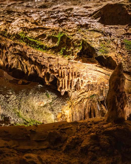 Palma: Caves of Genova Ticket & Digital Audio Guide - Key things to know before you go