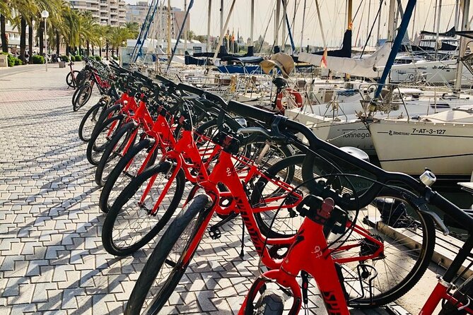 Palma de Mallorca Bike Tour with tapas - Bikes, helmets, and pace: how to make the ride feel easy
