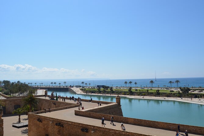 Palma de Mallorca Easy Bike Tour (Small Groups) - Es Baluard’s viewpoint: Palma’s bay scenery plus a history primer