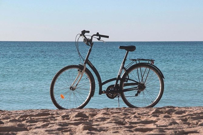 Palma de Mallorca Easy Bike Tour (Small Groups) - Pace, hills, and bike comfort: who should book this (and who should consider the e-bike)