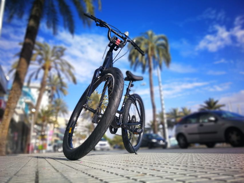 Palma de Mallorca: Guided Bicycle Tour - Basílica de Sant Francesc, Plaça de Cort, Passeig des Born, and Lonja de Palma