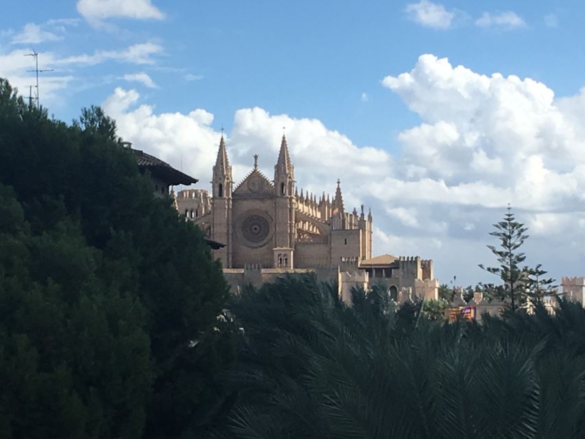 Palma de Mallorca: Guided Tour of the Old Town - La Seu cathedral: the stop that changes how you see the whole city