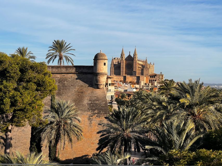 Palma de Mallorca: Old Town Atmospheric Evening Tour - Palma at Night: Why This Old Town Tour Feels Worth It