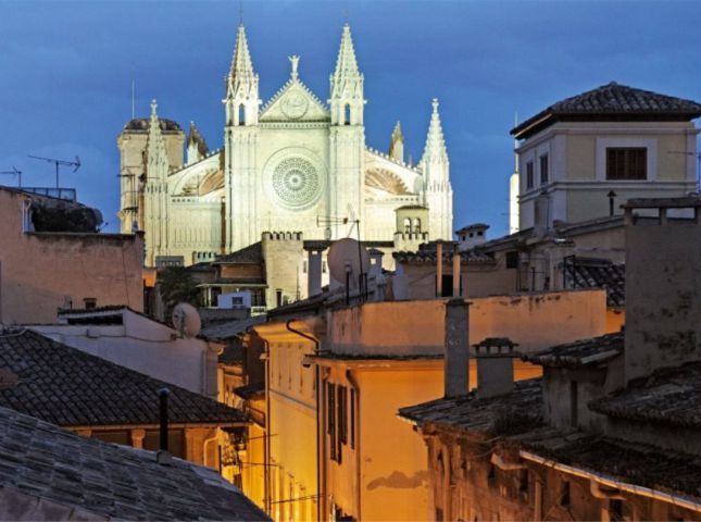 Palma de Mallorca: Old Town Atmospheric Evening Tour - La Llotja, Consolat del Mar, and Almudaina Palace: Old Power, Explained Simply