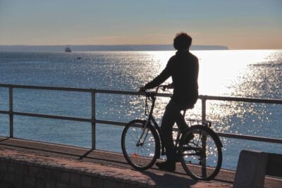 Palma de Mallorca Old Town Guided Bike Tour (Small Groups) - Lonja de Mallorca and the Slender-Column Moment for Your Photos