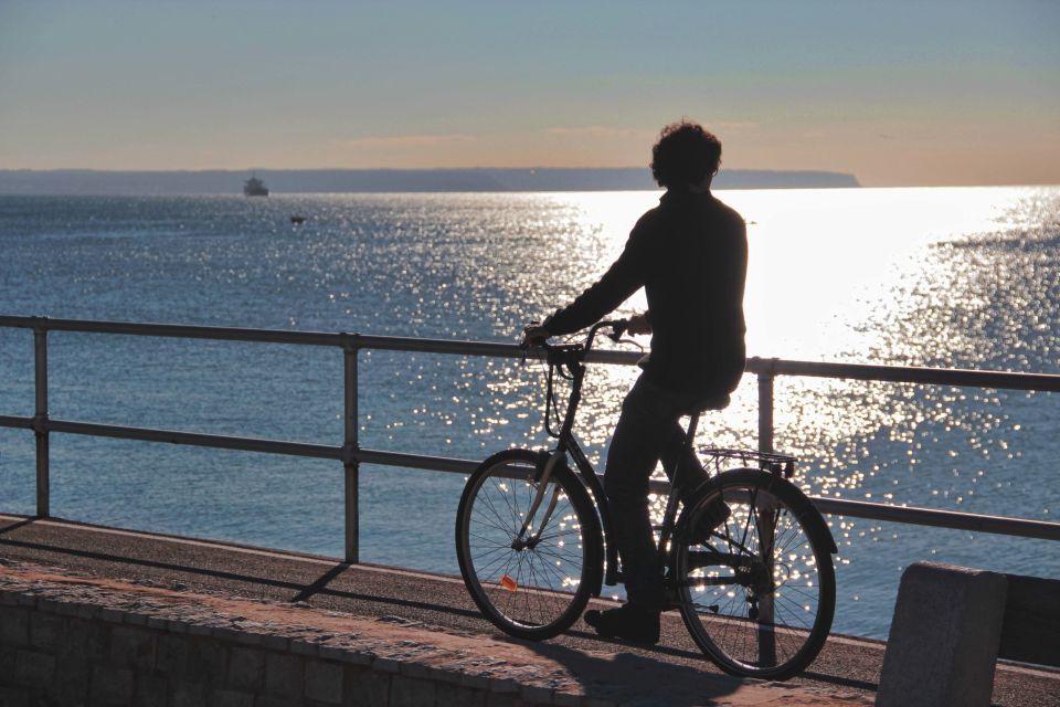 Palma de Mallorca Old Town Guided Bike Tour (Small Groups) - Lonja de Mallorca and the Slender-Column Moment for Your Photos