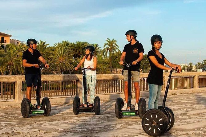 Palma de Mallorca Old Town Segway Tour - Stop-by-Stop: Cathedral Area, Almudaina Palace Zone, and the Sa Llotja Moment