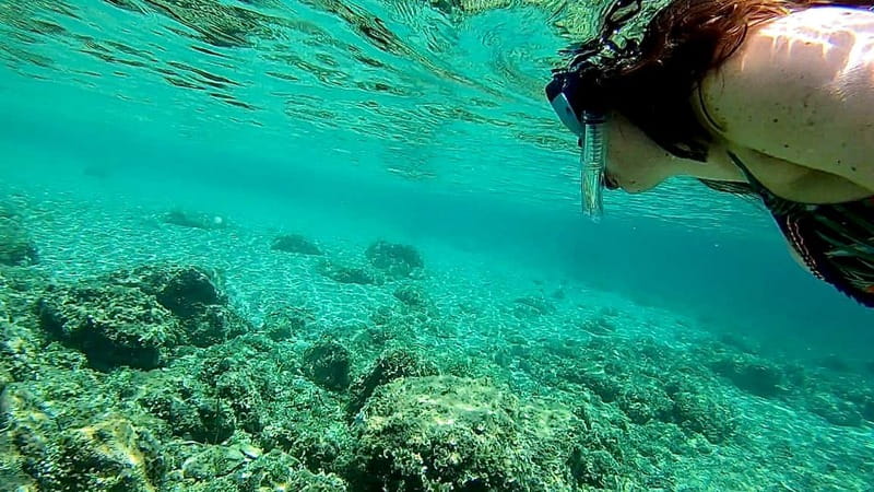 Palma de Mallorca: Private Boat Tour with Snorkel and Paddle - Price and Value: How $459 per Group Can Work Out