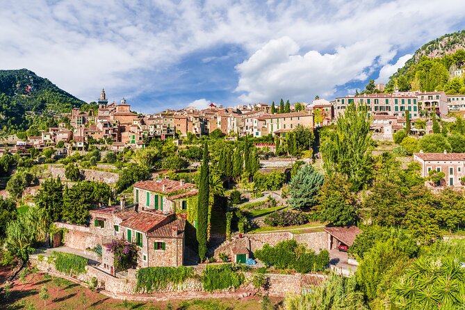 Palma de Mallorca Shore Excursion: Private Tour of Valldemossa, Soller and Serra de Tramuntana - Price and value: what you’re really paying for