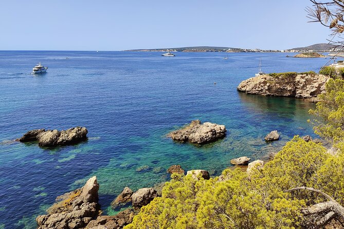 Palma de Mallorca: Small Group Tour by Locals in Hidden Coves - Key things to know before you go